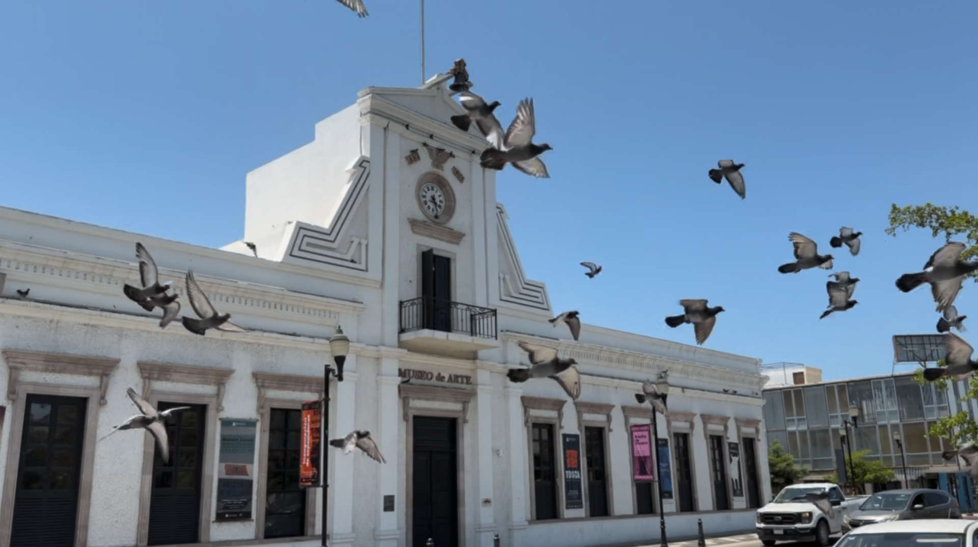 Museo de Arte de Baja California Sur with pigeons in flight