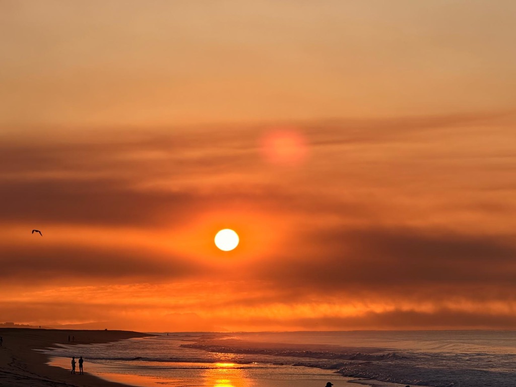 Fiery sunrise over Playa Ocampo in San José del Cabo with a pelican in flight