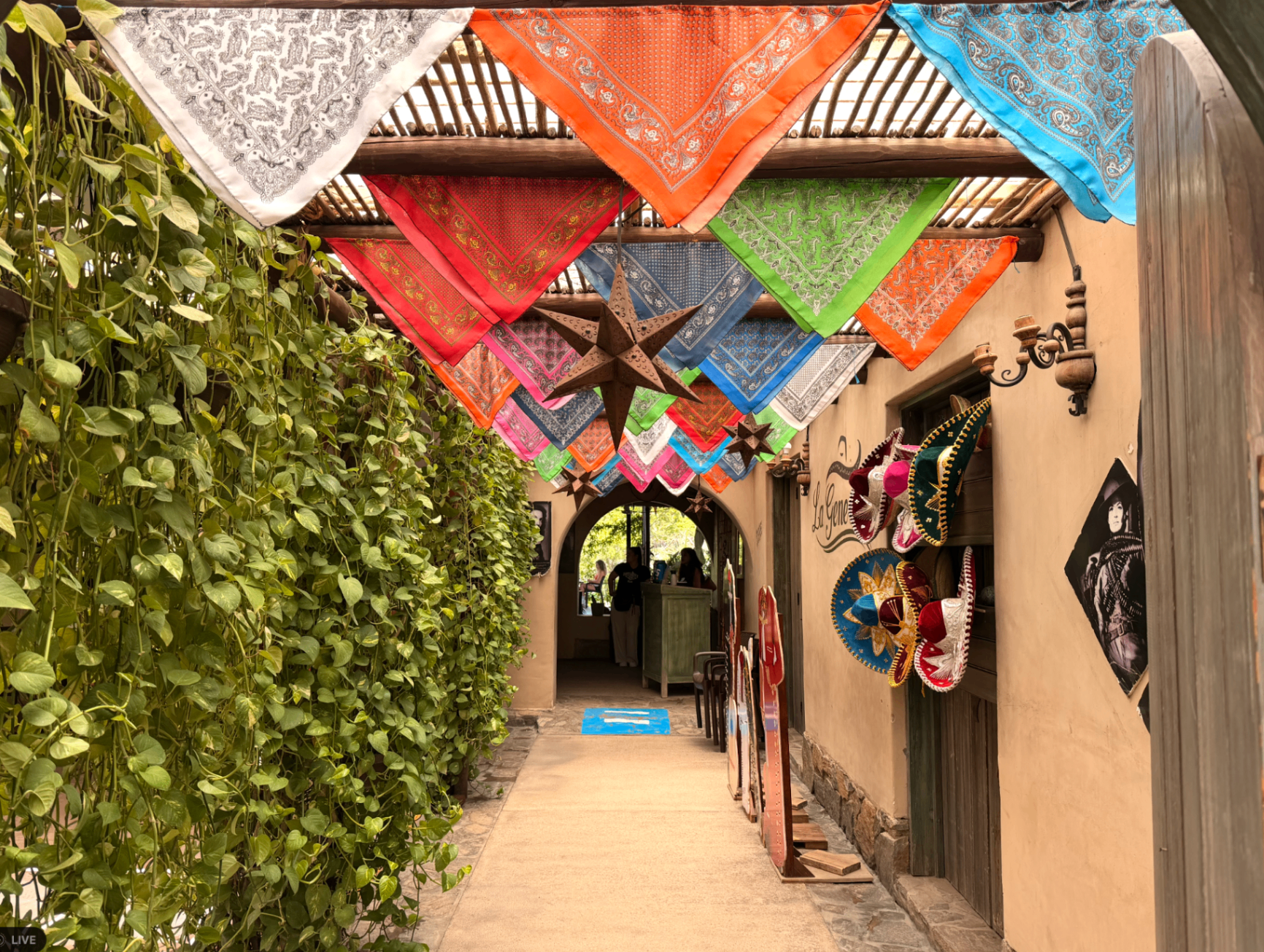 Todos Santos alley strung with colorful bandana banners over adobe walls and trailing vines