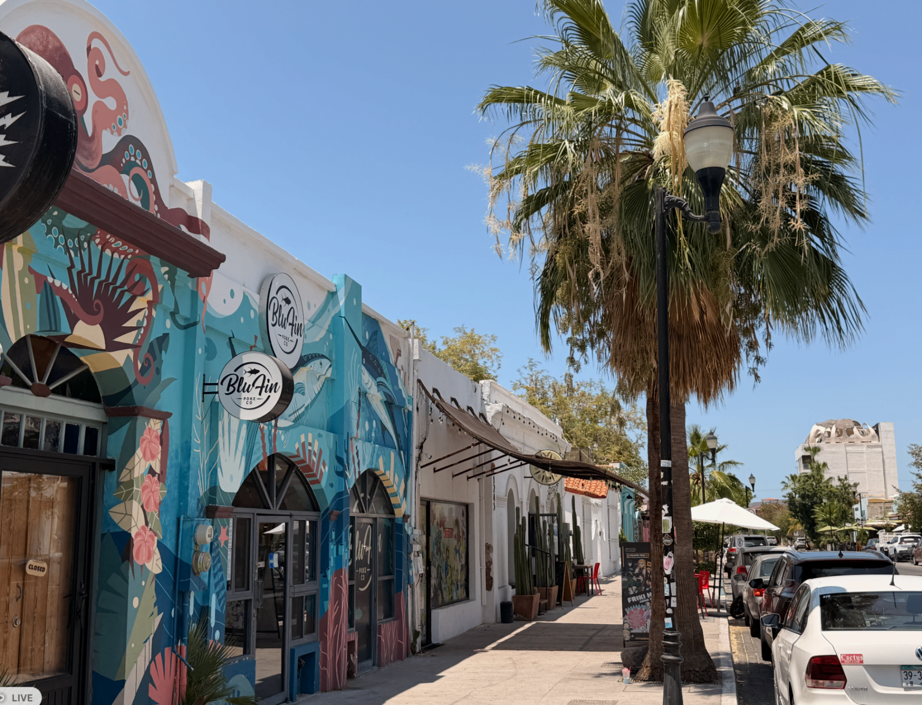 Mural-covered facade of BluFin Poke Co on a sunlit La Paz street with palms and colonial buildings